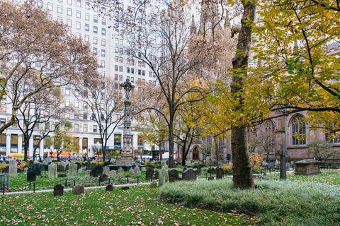 New York: Die Geschichte von Hamilton Small Group Walking Tour