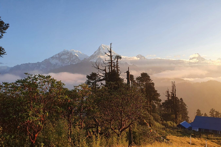 Vanuit Pokhara: 5 Daagse Poon Hill met Natuurlijke Warmwaterbron Trek