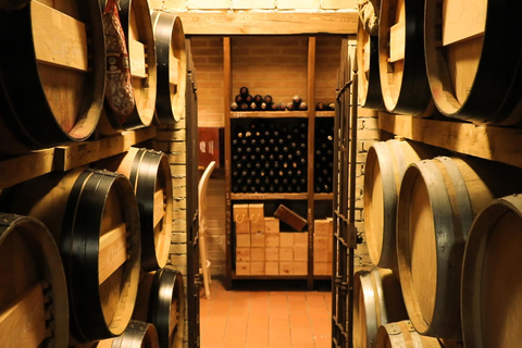 Chianti: Authentic Wine Tasting Experience from Florence Wine Tasting Experience in Spanish