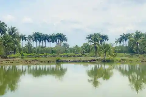 Excursión Premium al Islote de Con Son - Explora la Gema Preciosa