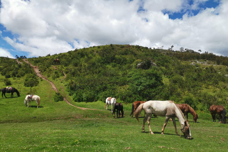Cusco: Horseback Riding Tour to Inca Temples and Viewpoints