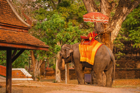 Bangkok: Ayutthaya Temples Day Trip with Sunset Cruise