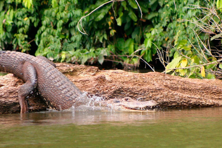 5-daagse excursie naar Manu National Park