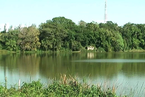 Arusha: Lake Duluti Canoeing Adventure with Picnic Lunch