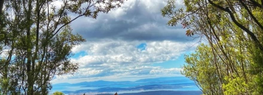 Tour de l'après-midi du Mont Wellington