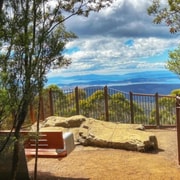 Mt Wellington Ultimate Afternoon Tour