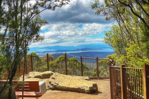 Tour de l&#039;après-midi du Mont Wellington