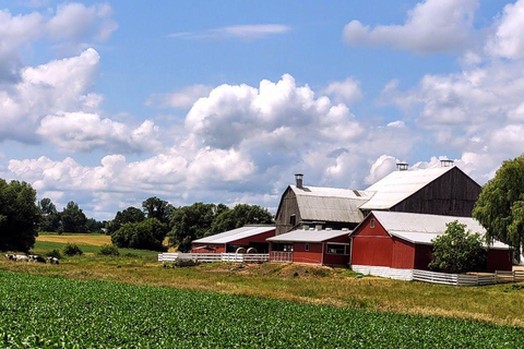 Toronto: St. Jacobs Market and Mennonite Country Tour