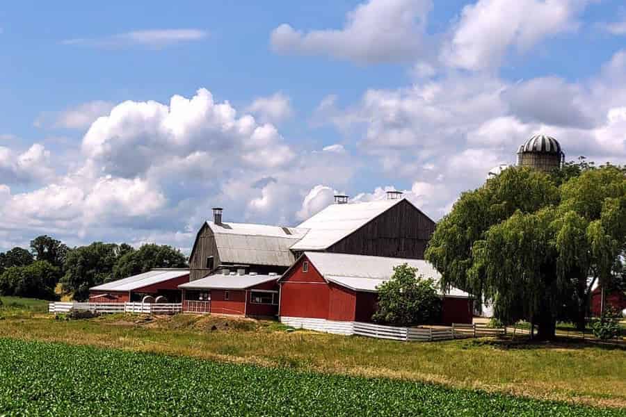 Toronto: St. Jacobs Market und Mennoniten-Tour. Foto: GetYourGuide Toronto: St. Jacobs Market und Mennoniten-Tour. Foto: GetYourGuide