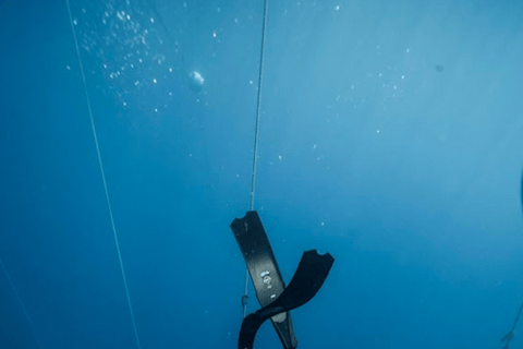 من مدينة أواكساكا: تجربة الغوص الحر في بويرتو إسكونديدو