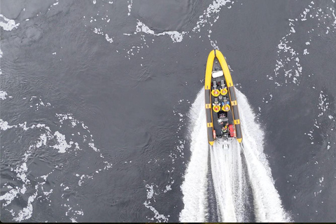 Fort William: 1hr Loch Safari Speedboat Tour