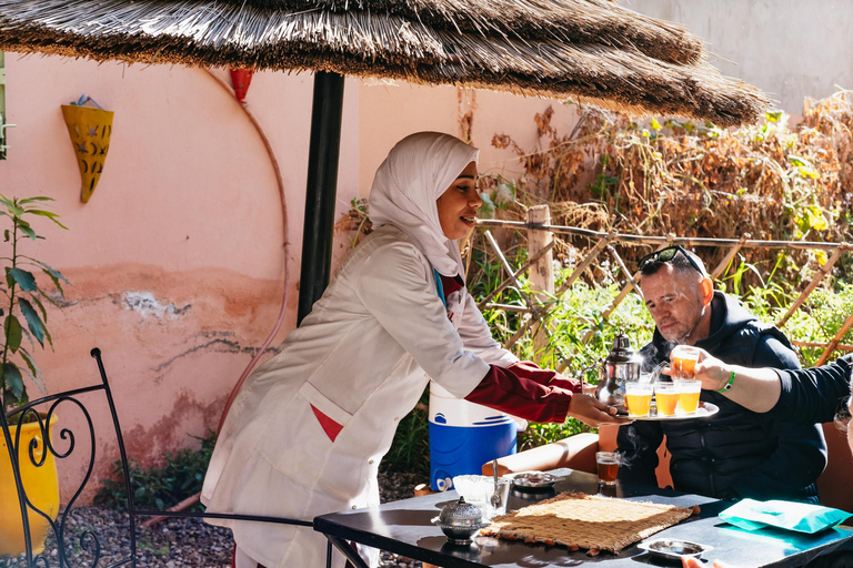 Marrakech : visite guidée de l'Atlas et des 5 valléesMontagnes de l'Atlas et 5 vallées - Visite privée