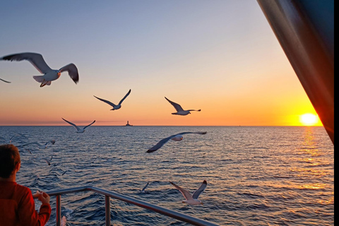 Medulin: 3h Ultra ALL-INCLUSIVE Sunset Dolphin Boat trip 3hours Dolphin Sunset watching with drinks+dinner sandraboat