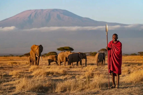 Nairobi: Maasai Mara, Amboseli, or Lake Naivasha Safari Tour