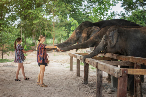 Chiang Mai: Ethical Elephant Feeding & Shower Program