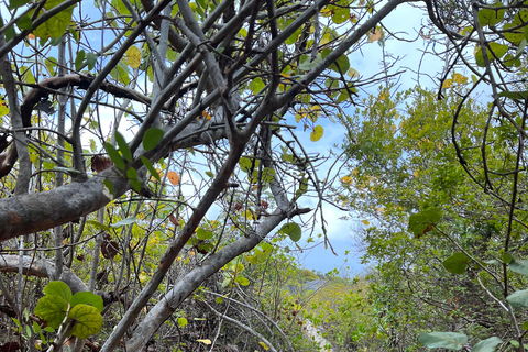 From Fajardo: Icacos Island Boat Trip and Beach Day Package