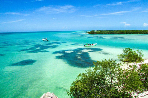 One day tour to Holbox with lunch and transfer from Cancun and Riviera Maya