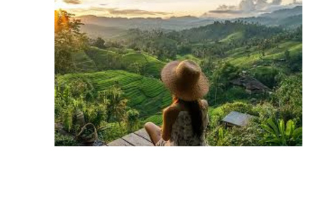 North Bali: Walking on the expanse of jati luwih rice fields