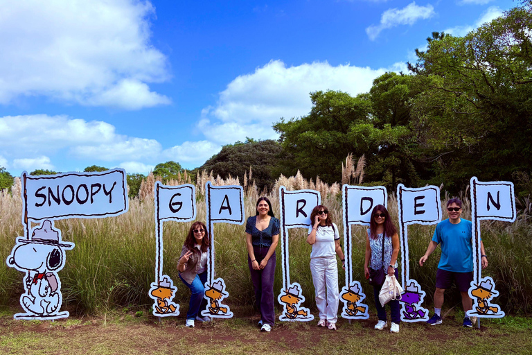 Jeju Trendy Café Tour including Snoopy Garden