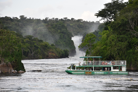 Entebbe: Safári de 3 dias no Parque Nacional de Murchison Falls