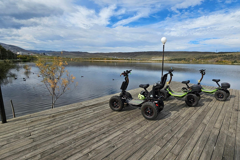 Tbilisi: Guided EZ-Rider Electric Adventure Tour