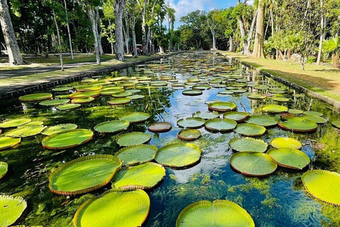 Mauritius: 2-Day North Discovery & Benitier Island Tour