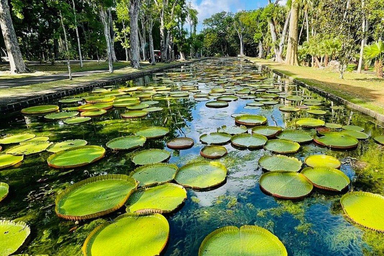 Mauritius: 2-Day North Discovery & Benitier Island Tour