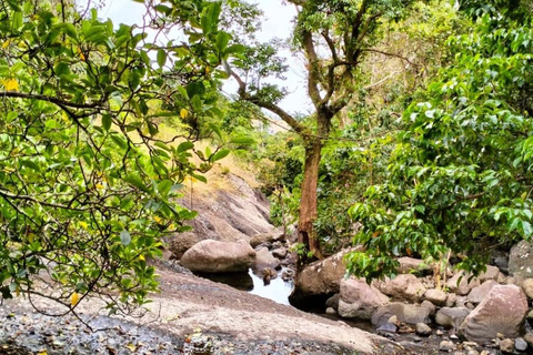 Lautoka: Abaca Waterfall Hike and Swim Day Trip