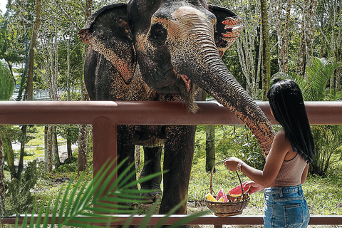 Phuket Elephant Sanctuary: Halvdag med vegetarisk måltidMötesplats