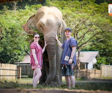 Chiang Mai: Elephant Jungle Sanctuary with Lunch & Transfer