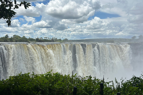 Victoria Falls: Guided Tour with Big Tree & Market Visit