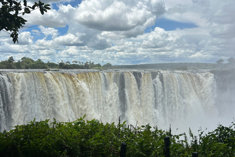 Victoria Falls: Guided Tour with Big Tree & Market Visit