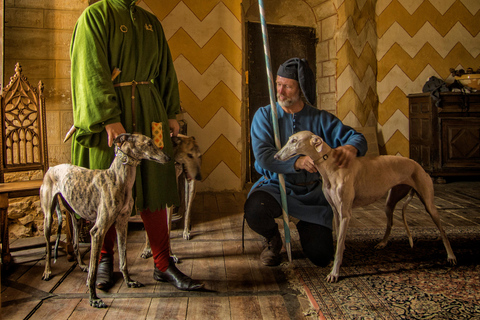 Salignac-Eyvigues: Entrance ticket to Château de Salignac Events
