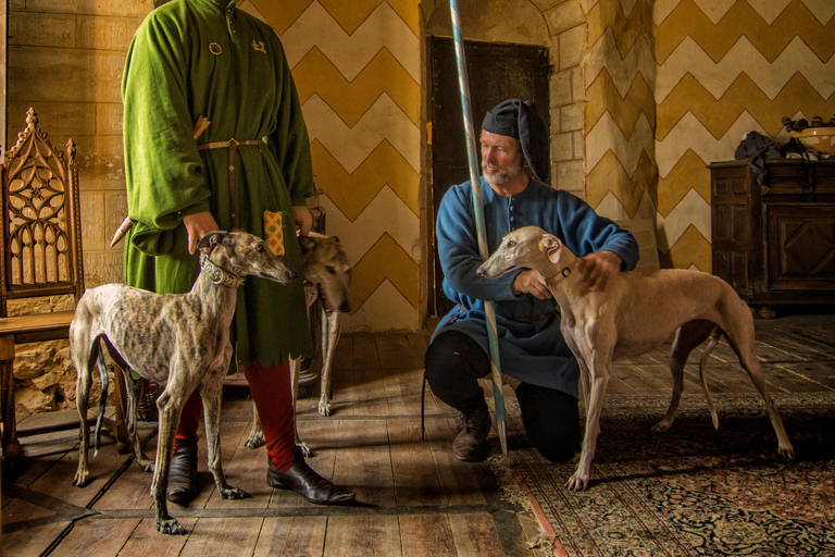 Salignac-Eyvigues: Entrance ticket to Château de Salignac Events