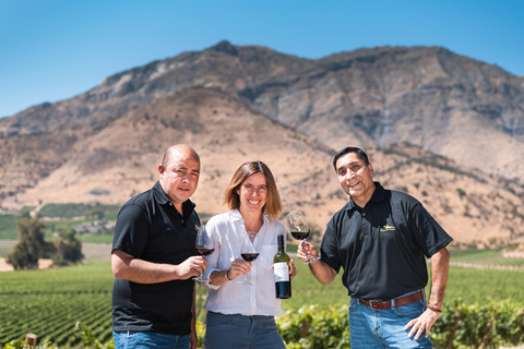 Expérience Haras : escapade dans les vignobles, vin et dégustationsExpérience Icono – 4 dégustations de vin