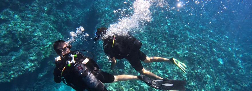 Initiation d'une heure à la plongée-sous-marine !