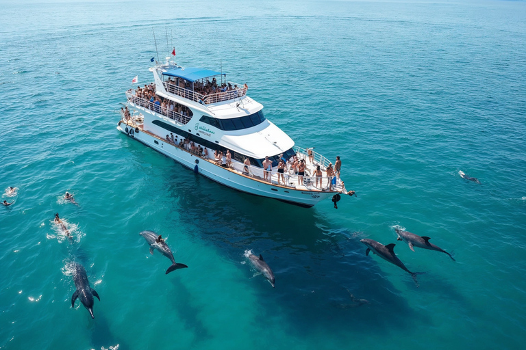 Hurghada: Dolphin Watching & Snorkeling Adventure with Lunch Dolphin Watching Boat Tour with Diving