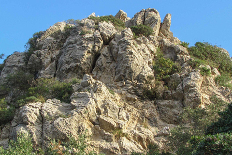 Excursão berbere Takrouna &amp; Zriba El Alia com partida de Tunes ou HammametExcursão berbere Takrouna &amp; Zriba El Alia saindo de Tunes ou Hammamet