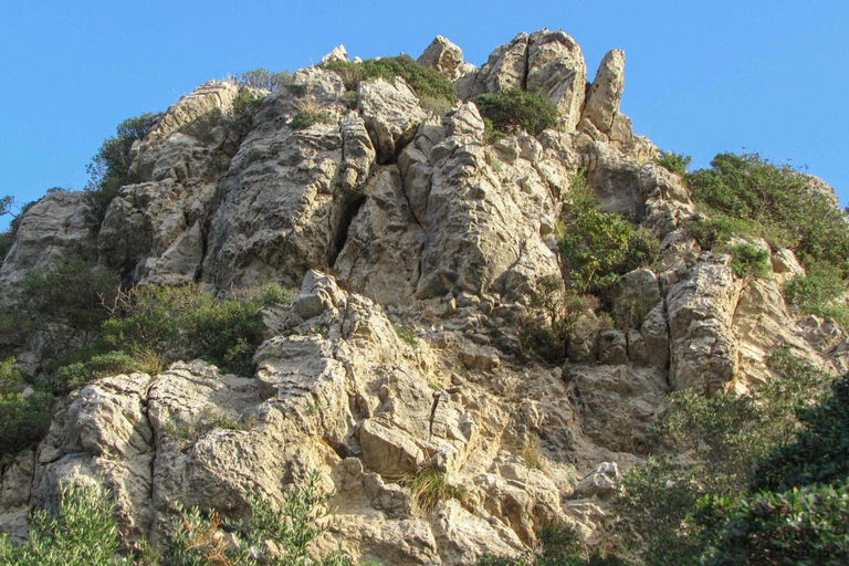 Excursão berbere Takrouna &amp; Zriba El Alia com partida de Tunes ou HammametExcursão berbere Takrouna &amp; Zriba El Alia saindo de Tunes ou Hammamet