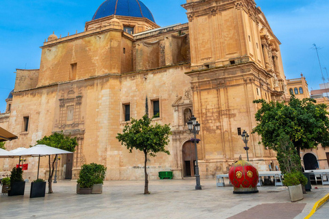 From Alicante: Elche Half-Day of Palms, History & Heritage