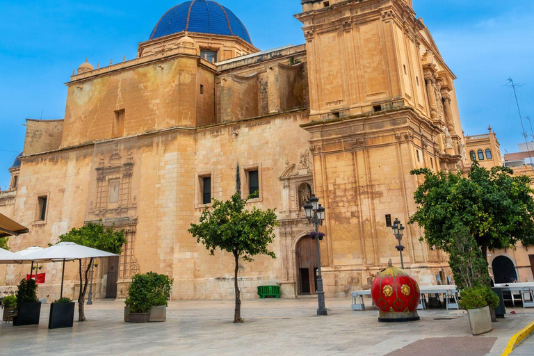 From Alicante: Elche Half-Day of Palms, History & Heritage