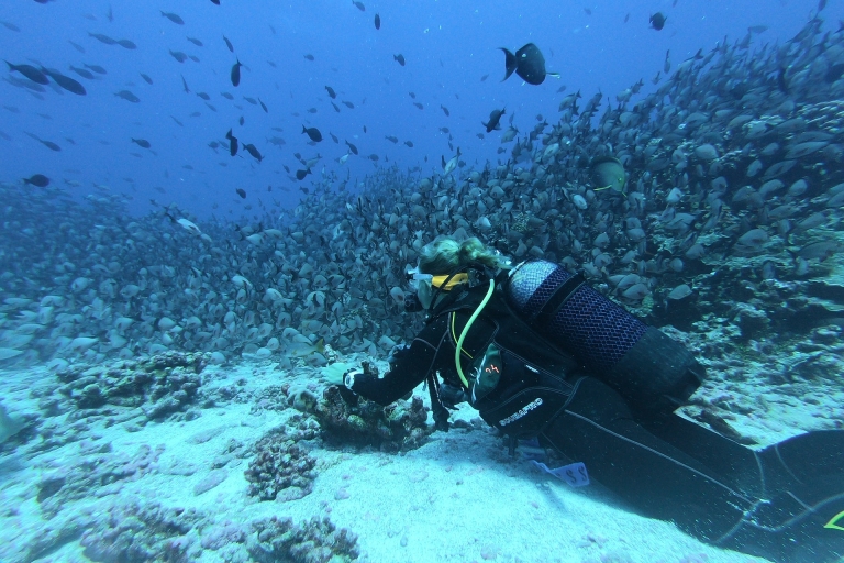 Plongée sous-marine à Negombo