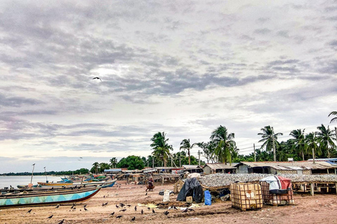 Day Tour: Trincomalee to Arugam Bay