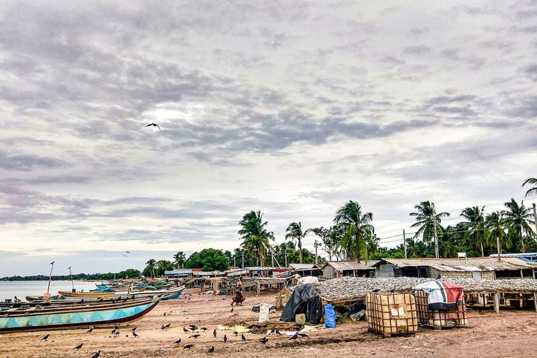 Day Tour: Trincomalee to Arugam Bay