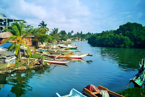 The Sigiriya & Safari Secret: 3-Day Culture & Wildlife Epic