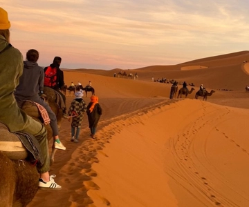 Desde Marrakech: Excursión de 2 días por el desierto ida y vuelta a Fez o Marrakech