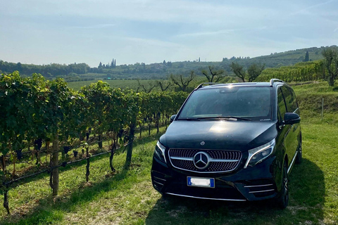 Desde Florencia: Siena, San Gimignano, Pisa con traslado