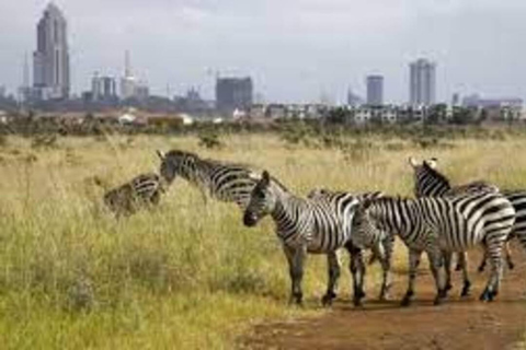 Nairobi National park and Elephant Orphanage Day Trip.