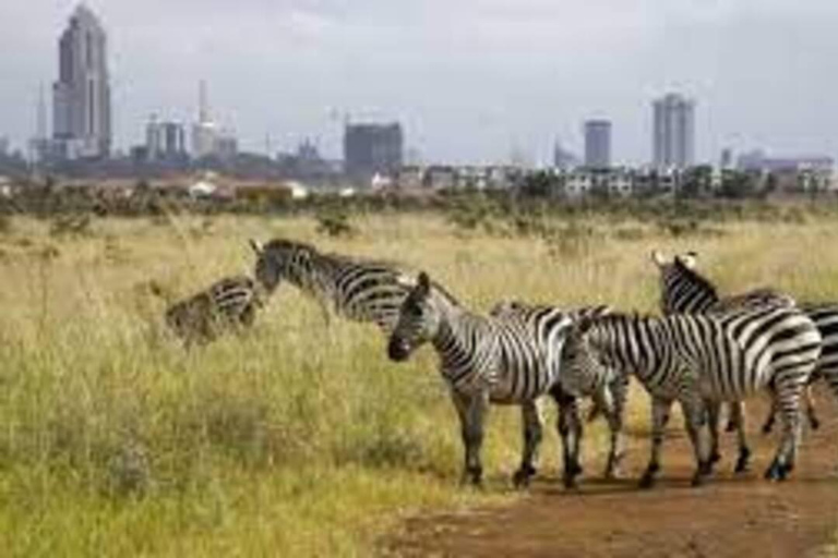 Nairobi National park and Elephant Orphanage Day Trip.