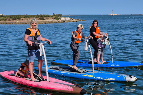 Gruissan: noleggio di aquastepper (un mix di paddle e stepper)Gruissan: noleggio di aquastepper (un mix tra paddle e stepper)